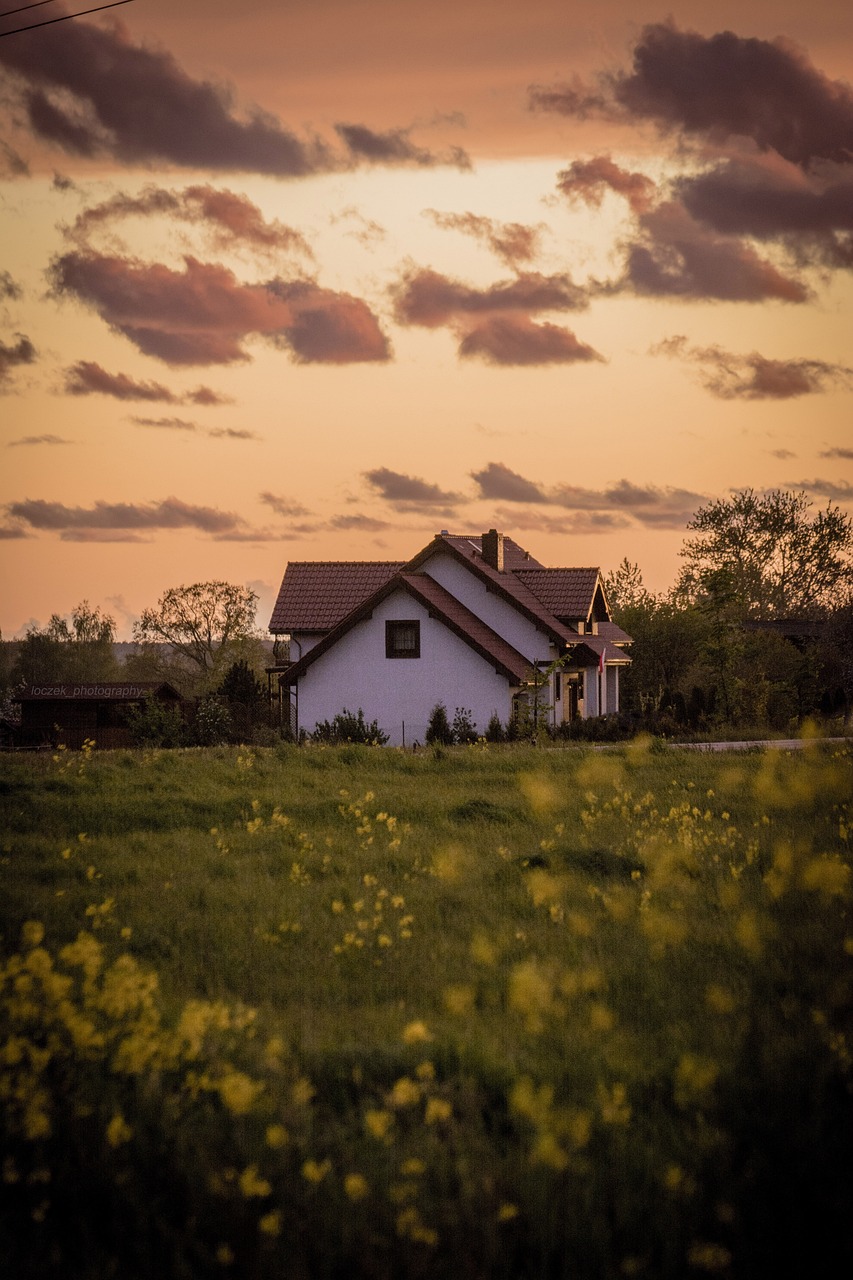 Řez ozdoby zahrady